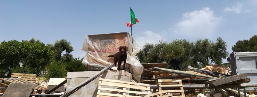 esercitazione ricerca su macerie Fasano